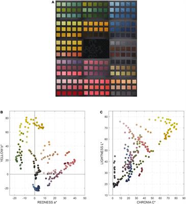 Developing a digital archive system for imperial Chinese robe in the Qing Dynasty
